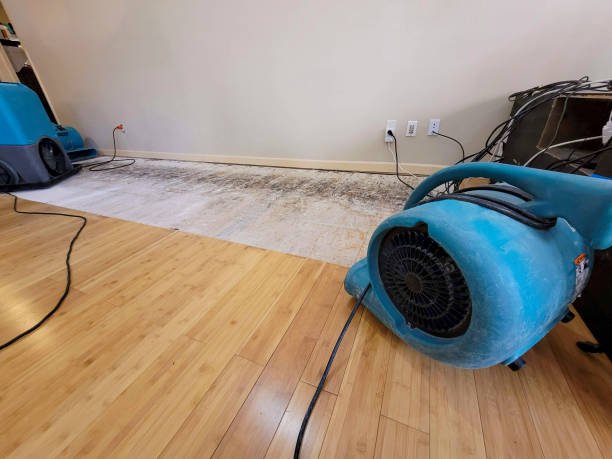 Professional Sewage Cleanup technician working in Elmont, NY
